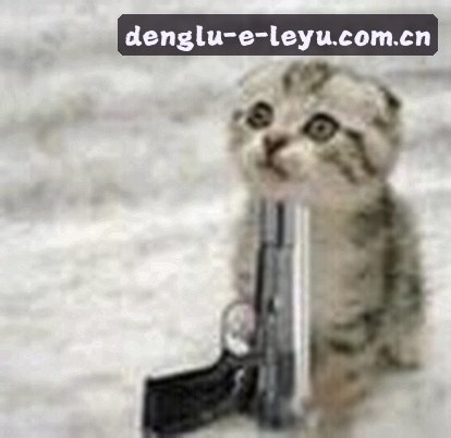 刘洋