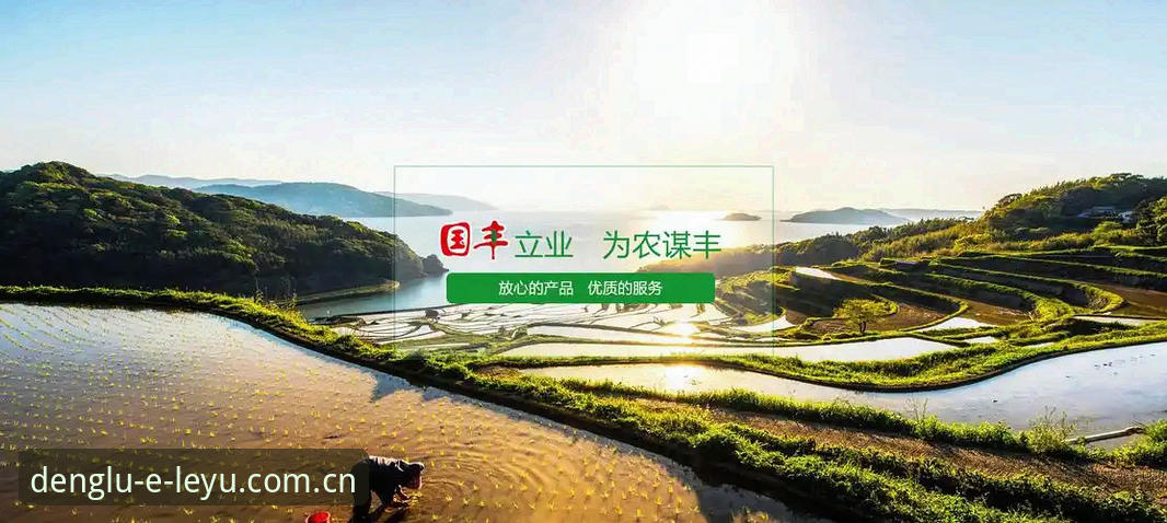 乐鱼体育平台功能模块全面解析：从登录到畅玩的实战指南